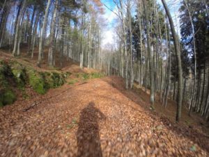 DCIM100GOPRO