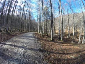DCIM100GOPRO