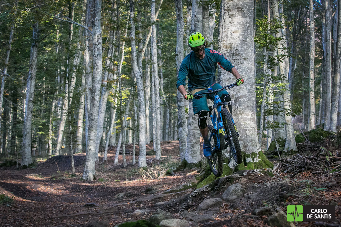 GT FORCE PRO 2019