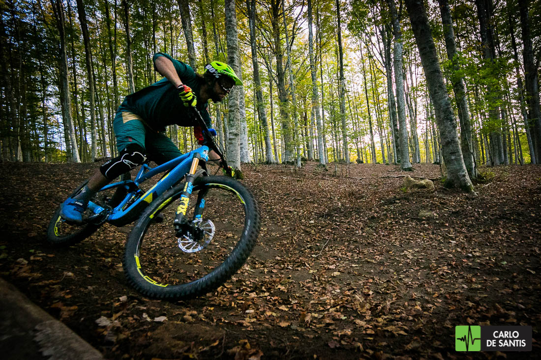 GT FORCE PRO 2019