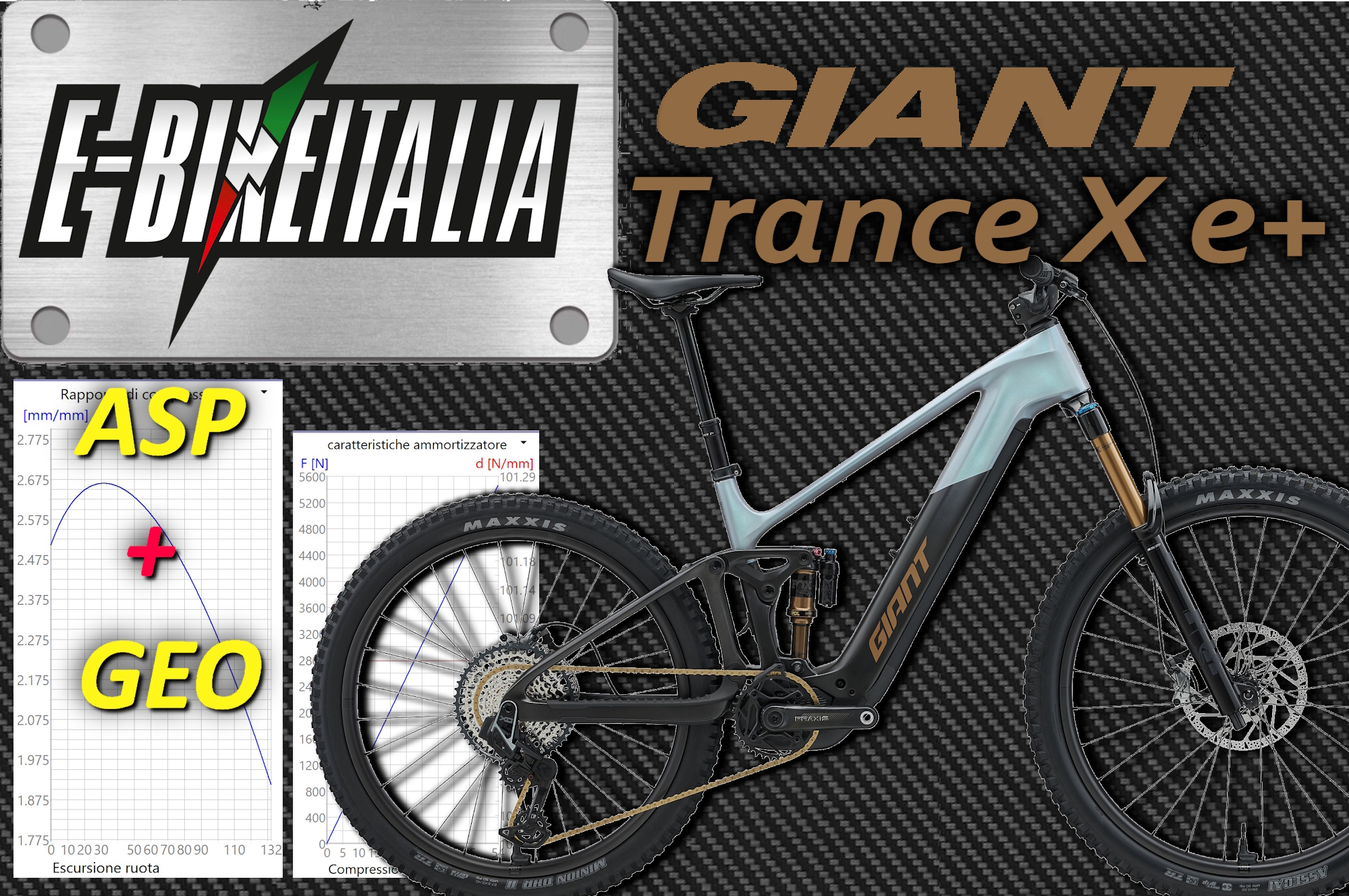 ASP+ GEO : https://www.giant-bicycles.com/it/trance-advanced-e